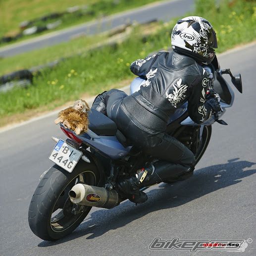Photo 2567362
