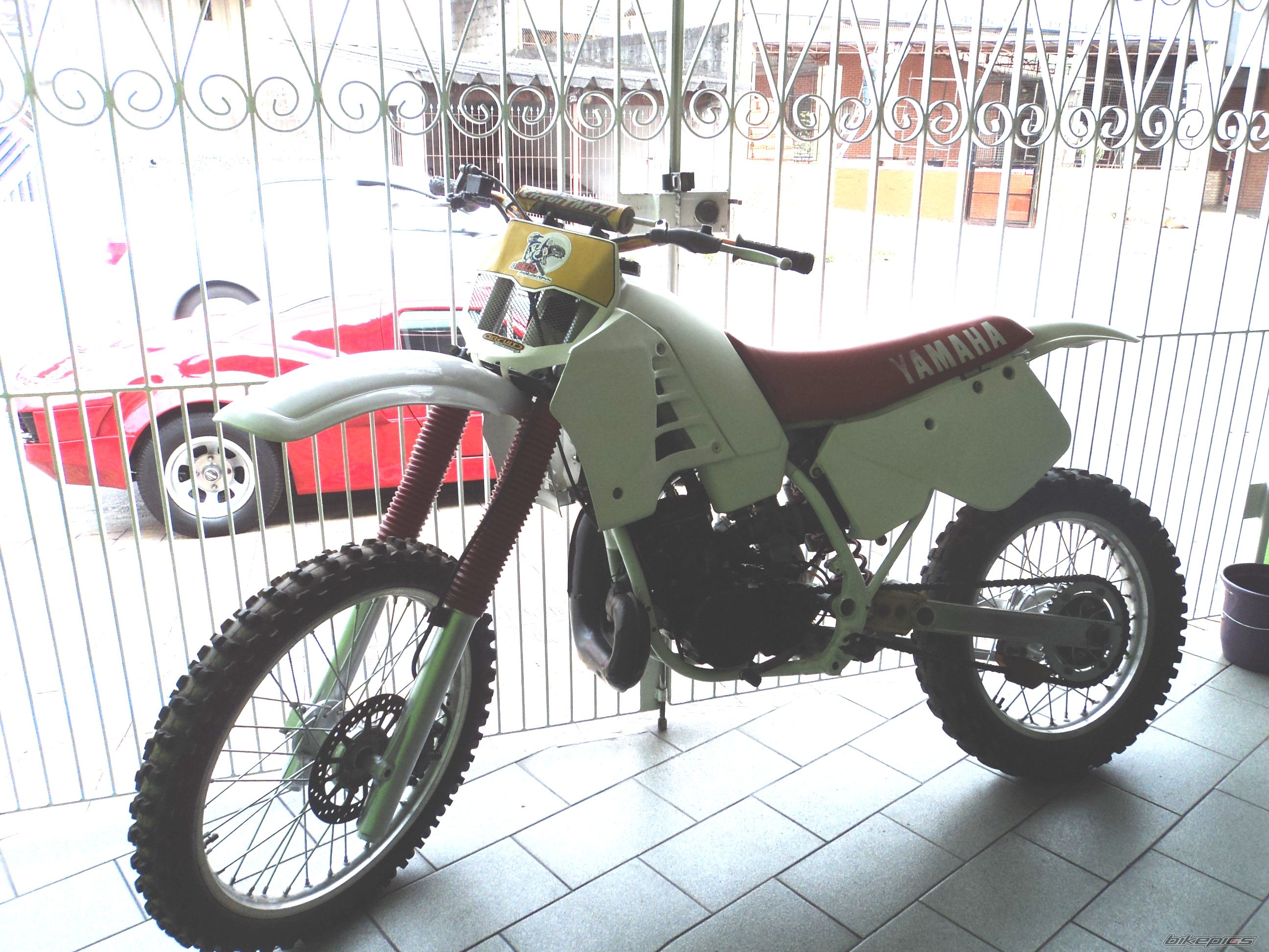 Photo 2567513