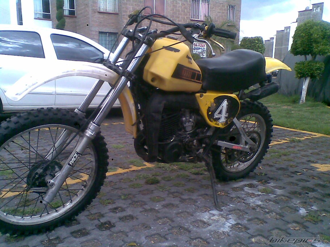 Photo 2567666