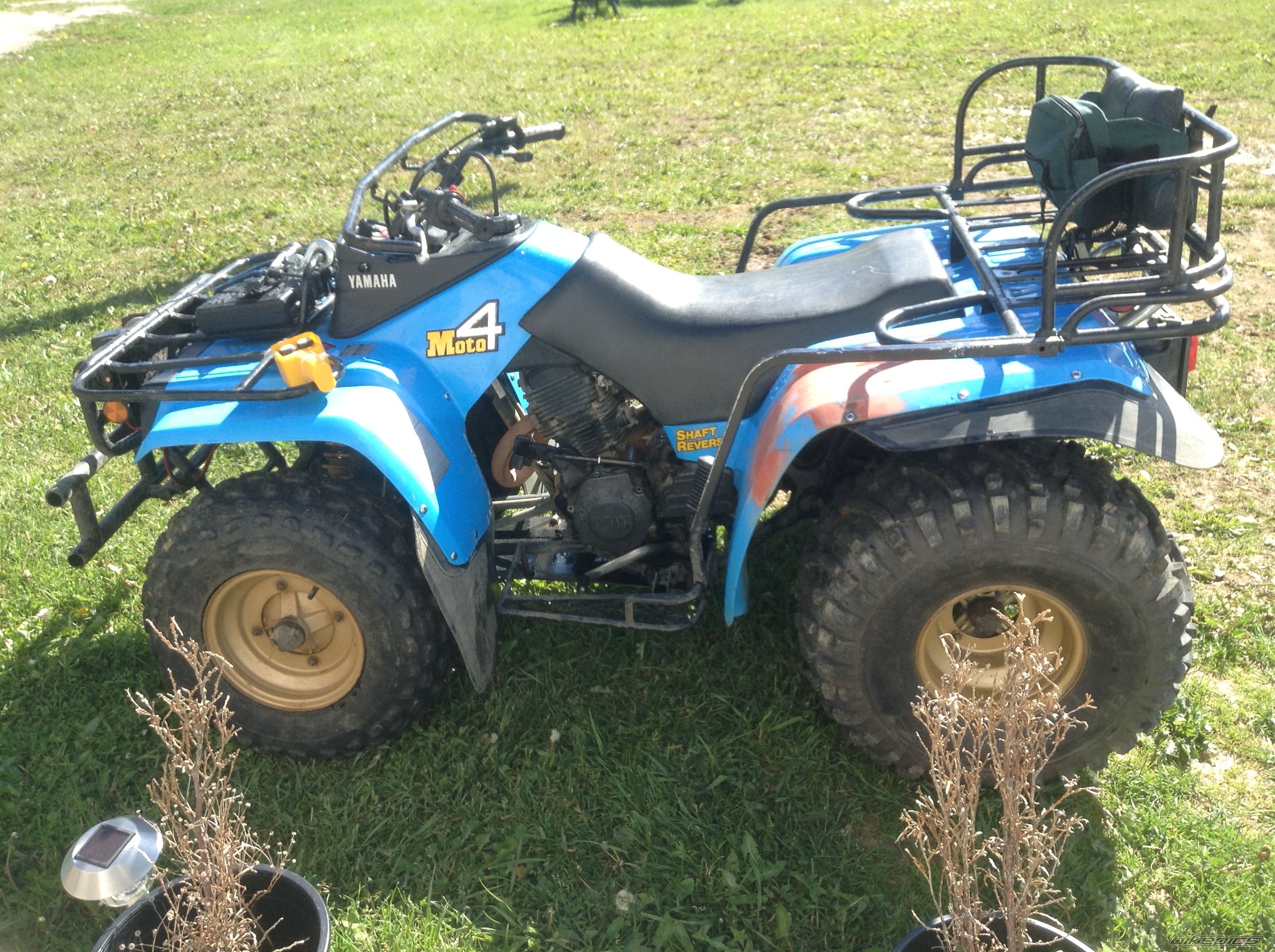 Photo 2567685