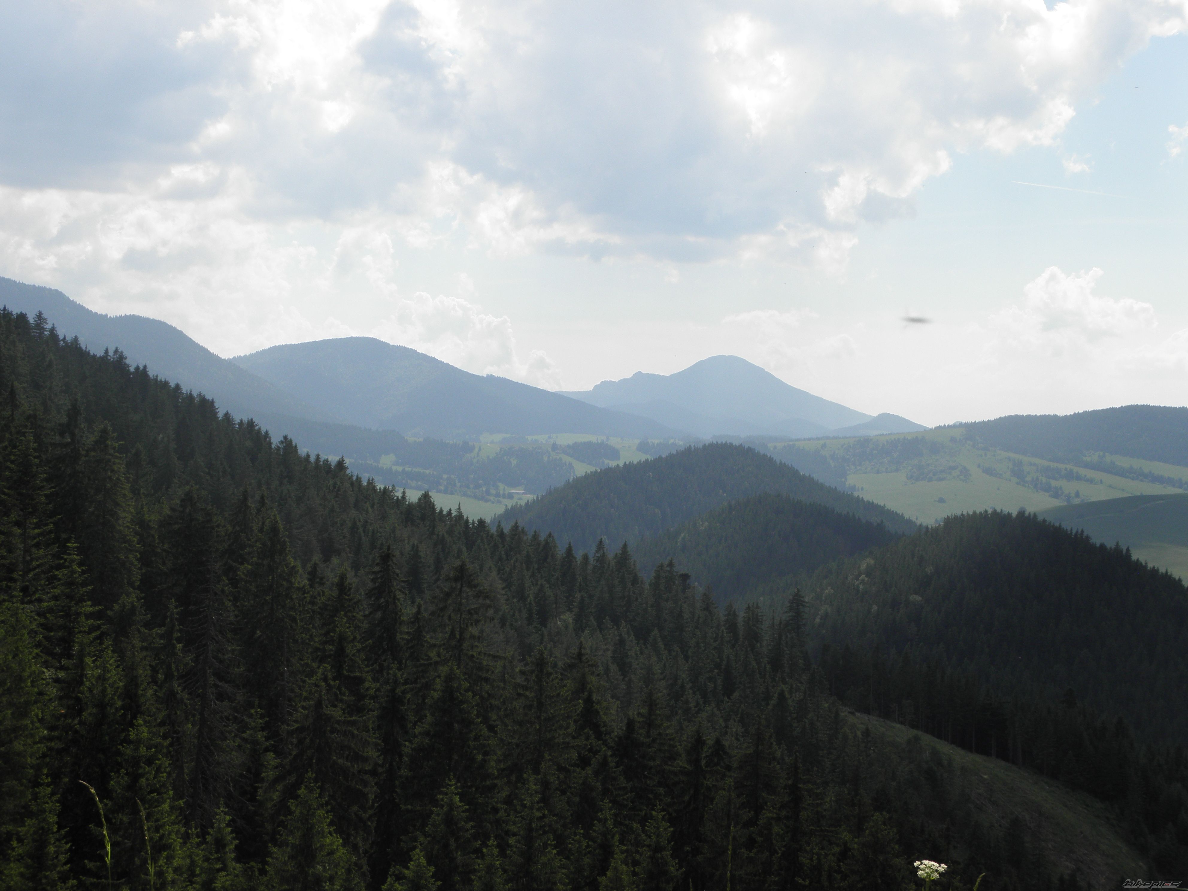 Photo 2567720