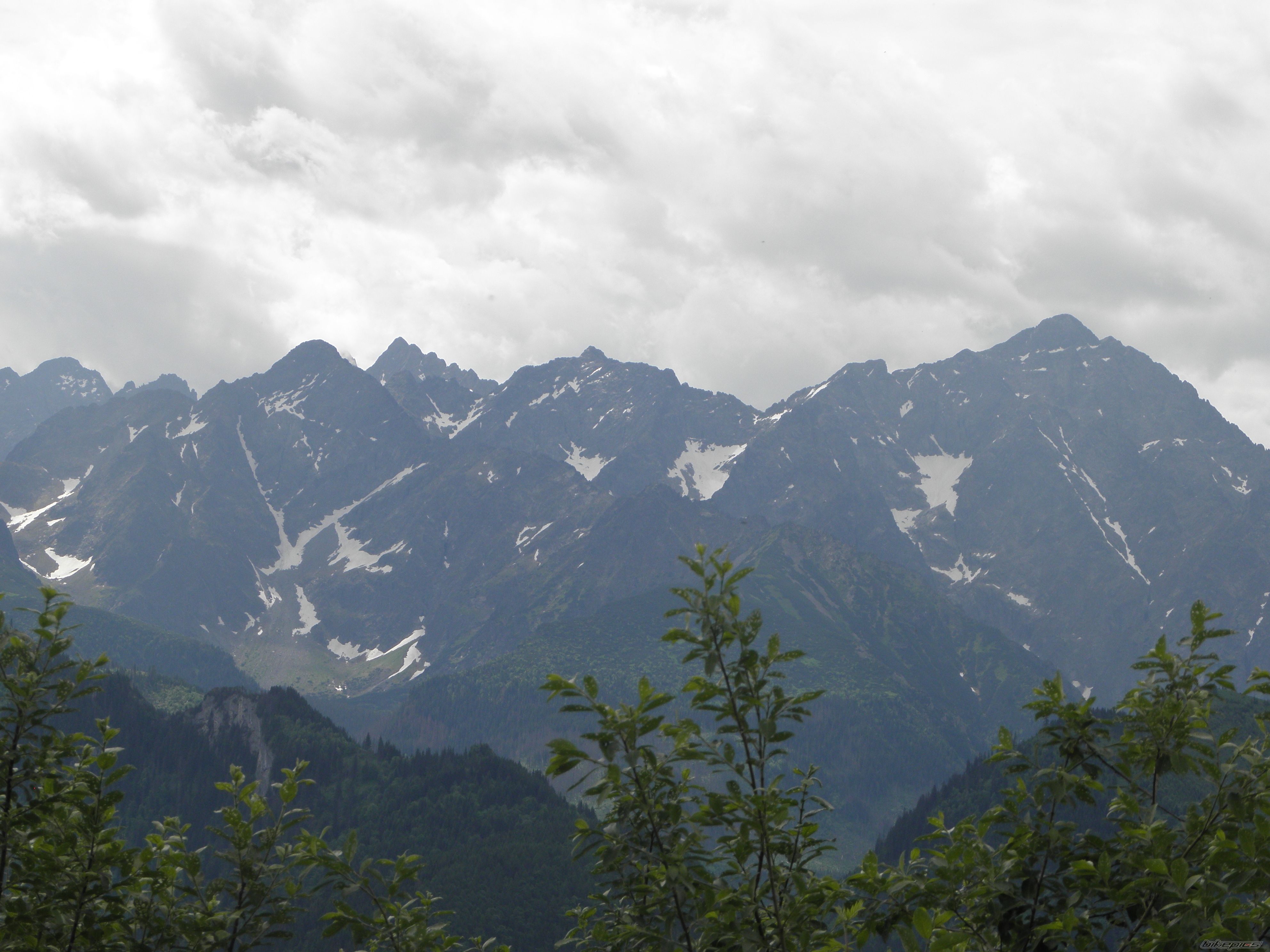 Photo 2567723