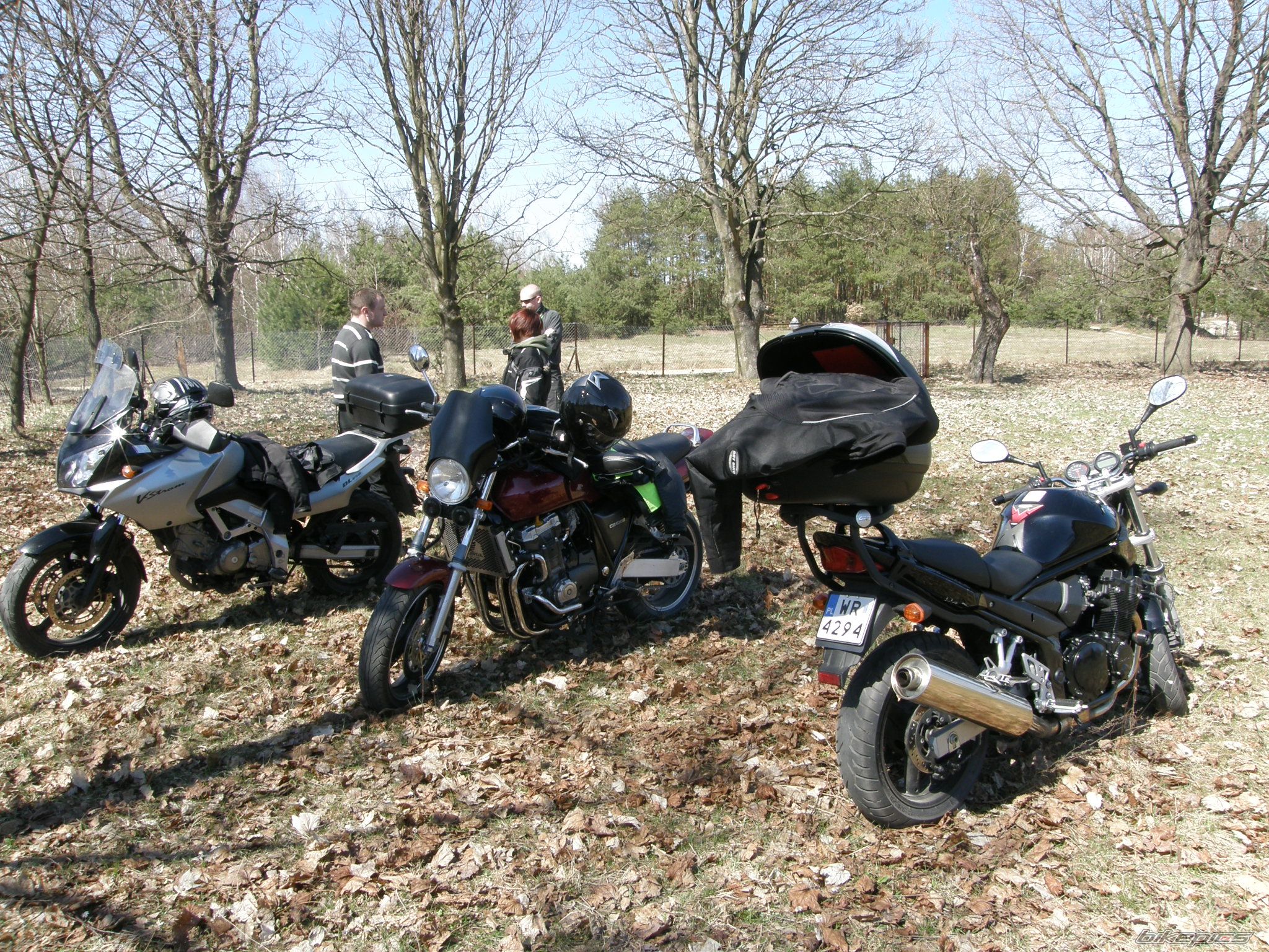 Photo 2567807