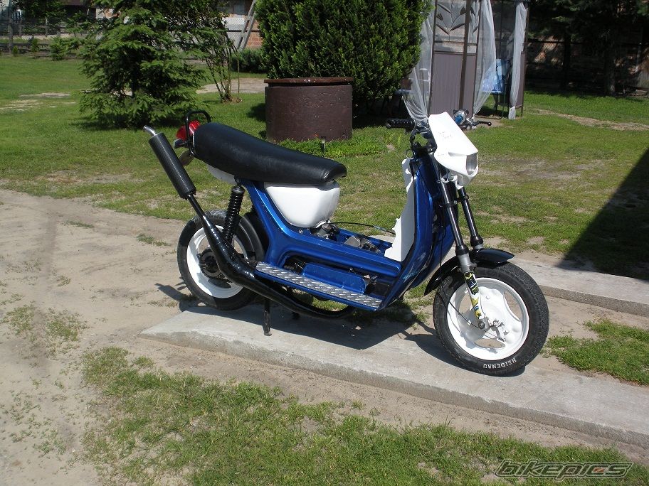 Photo 2567855