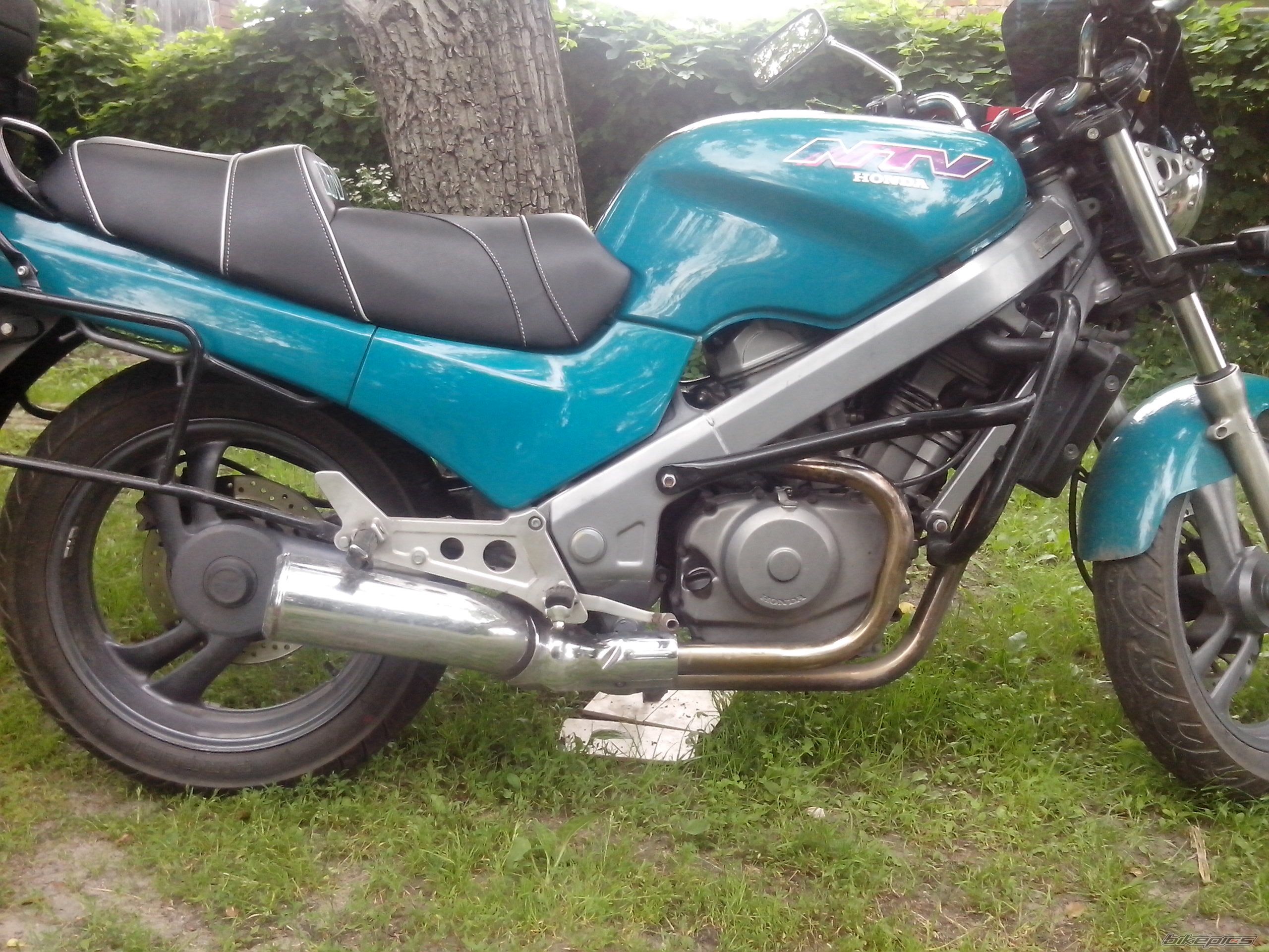 Photo 2567859