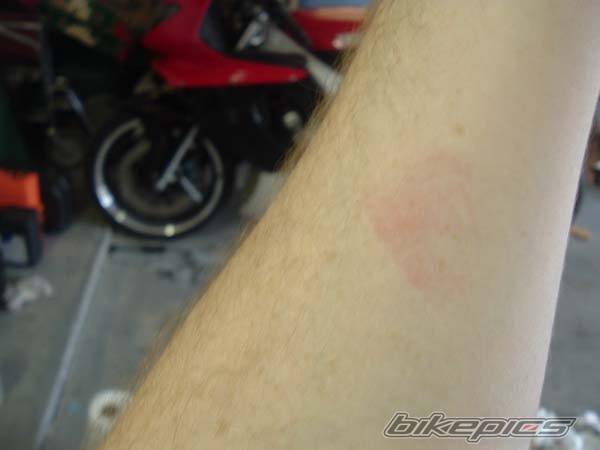 Photo 256786