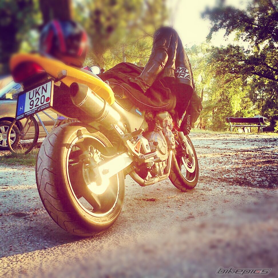 Photo 2567903