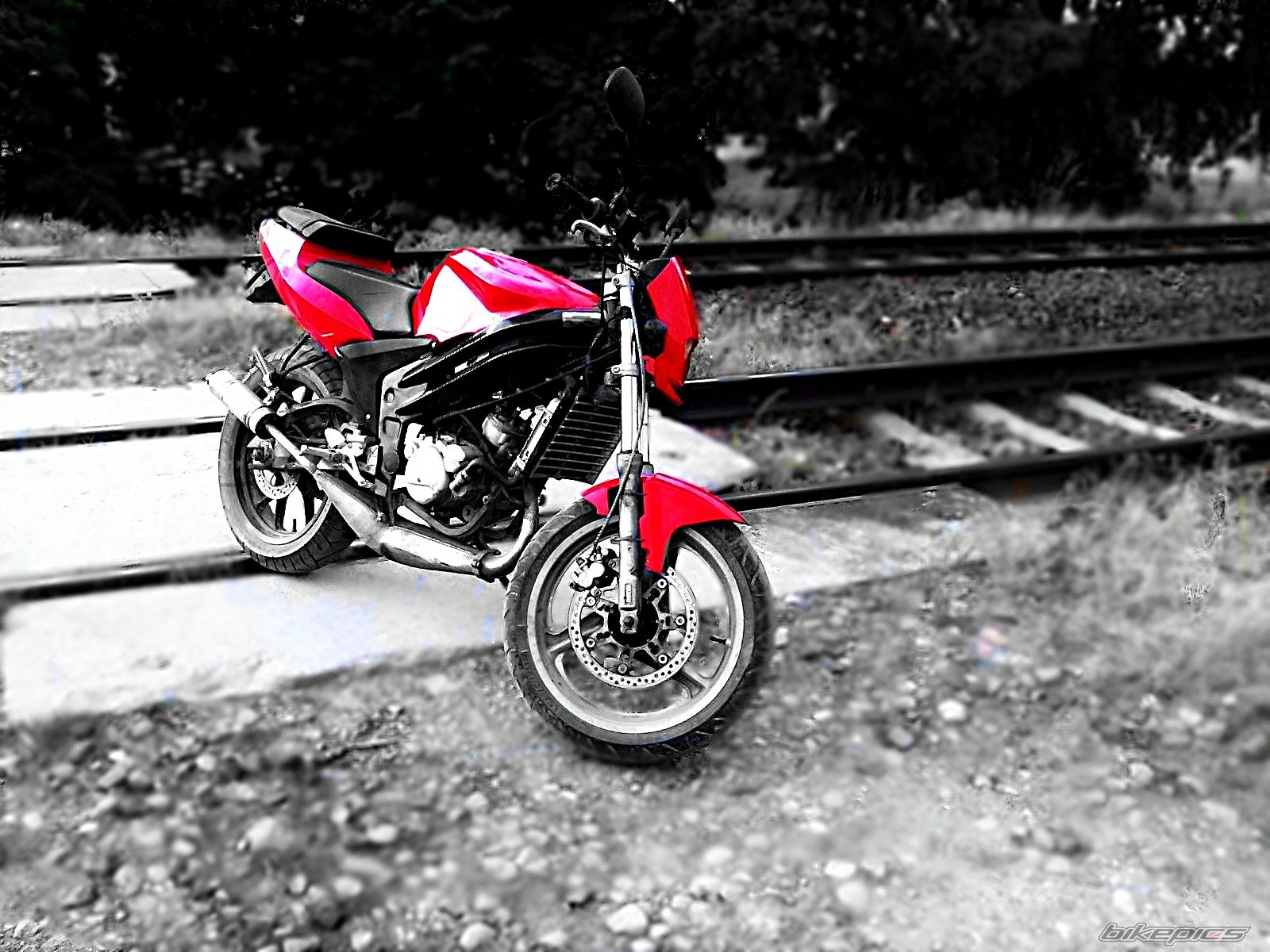 Photo 2567905