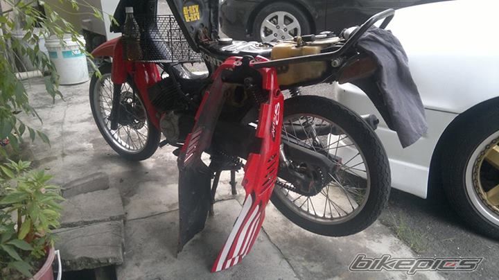 Photo 2568041