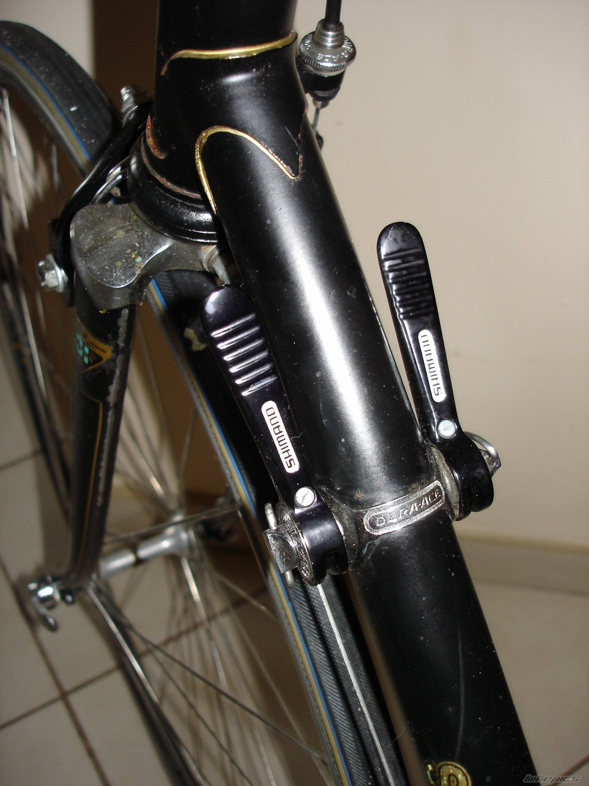 Photo 2568057