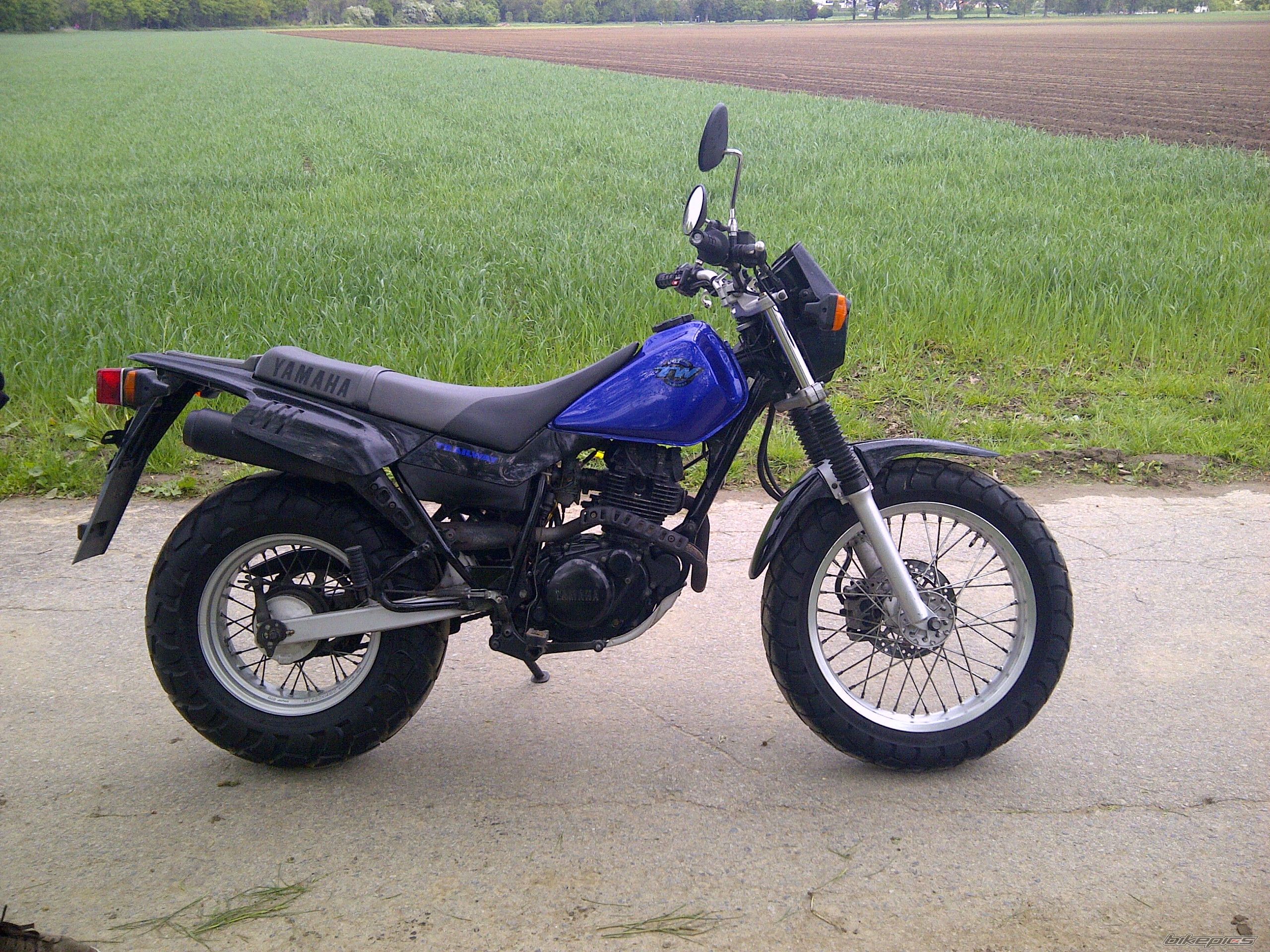 Photo 2568071