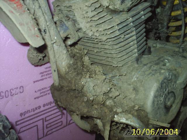 Photo 256821