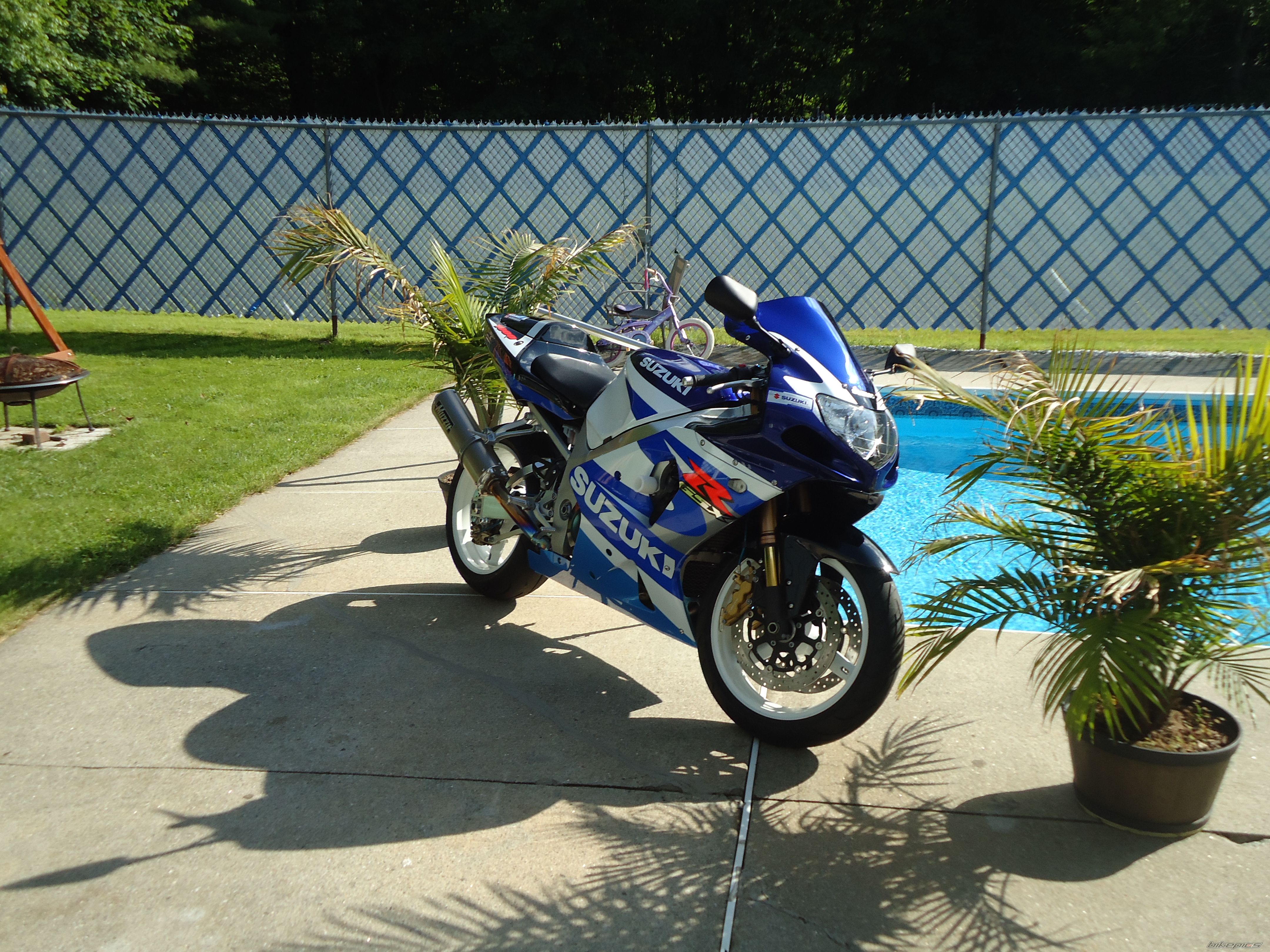 Photo 2568211