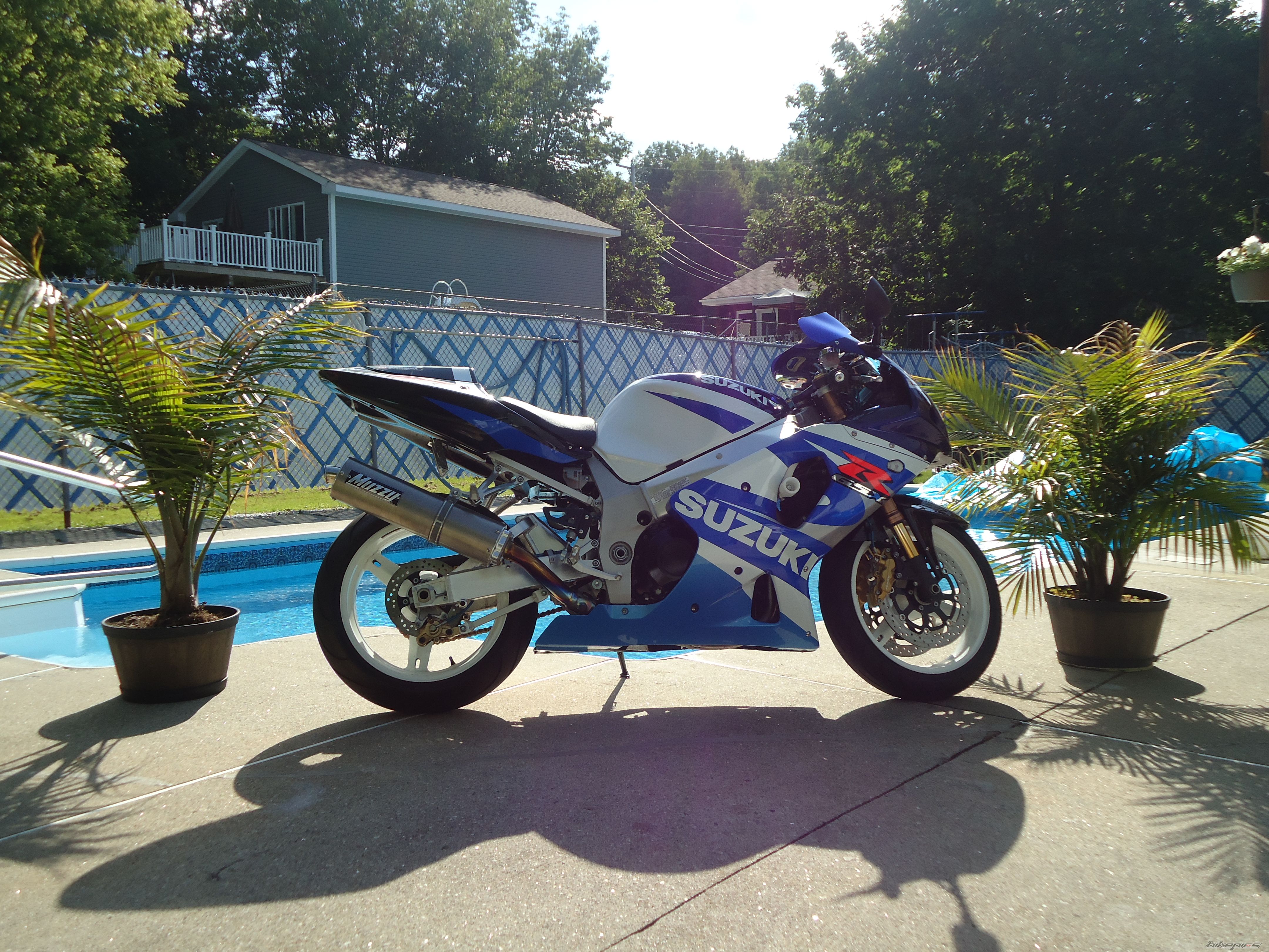 Photo 2568213