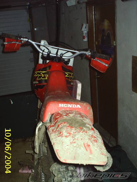 Photo 256824