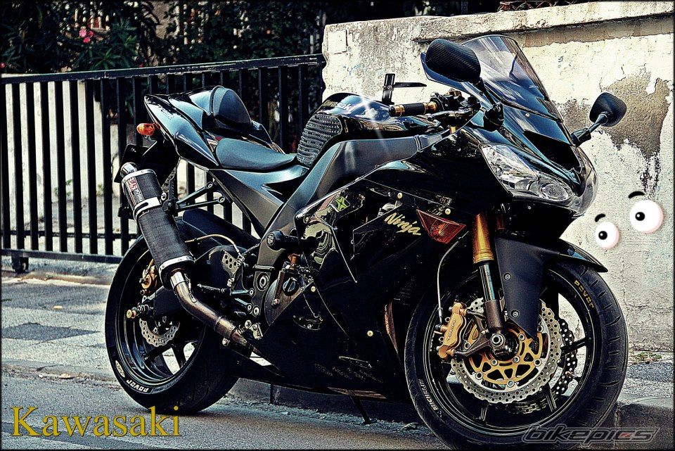 Photo 2568282