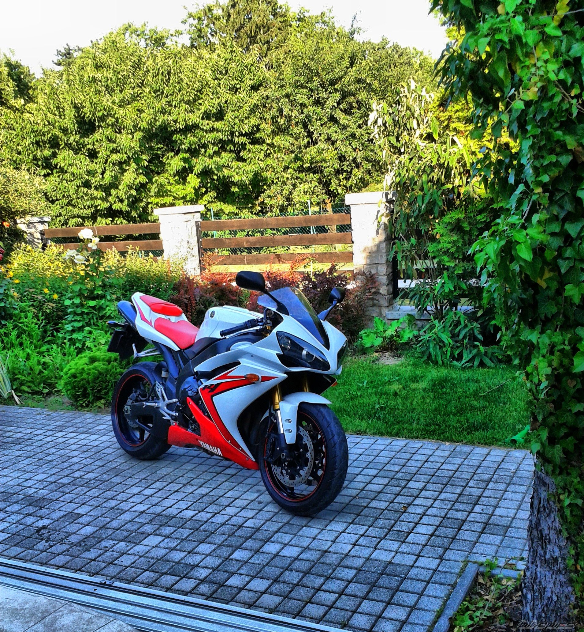 Photo 2568314