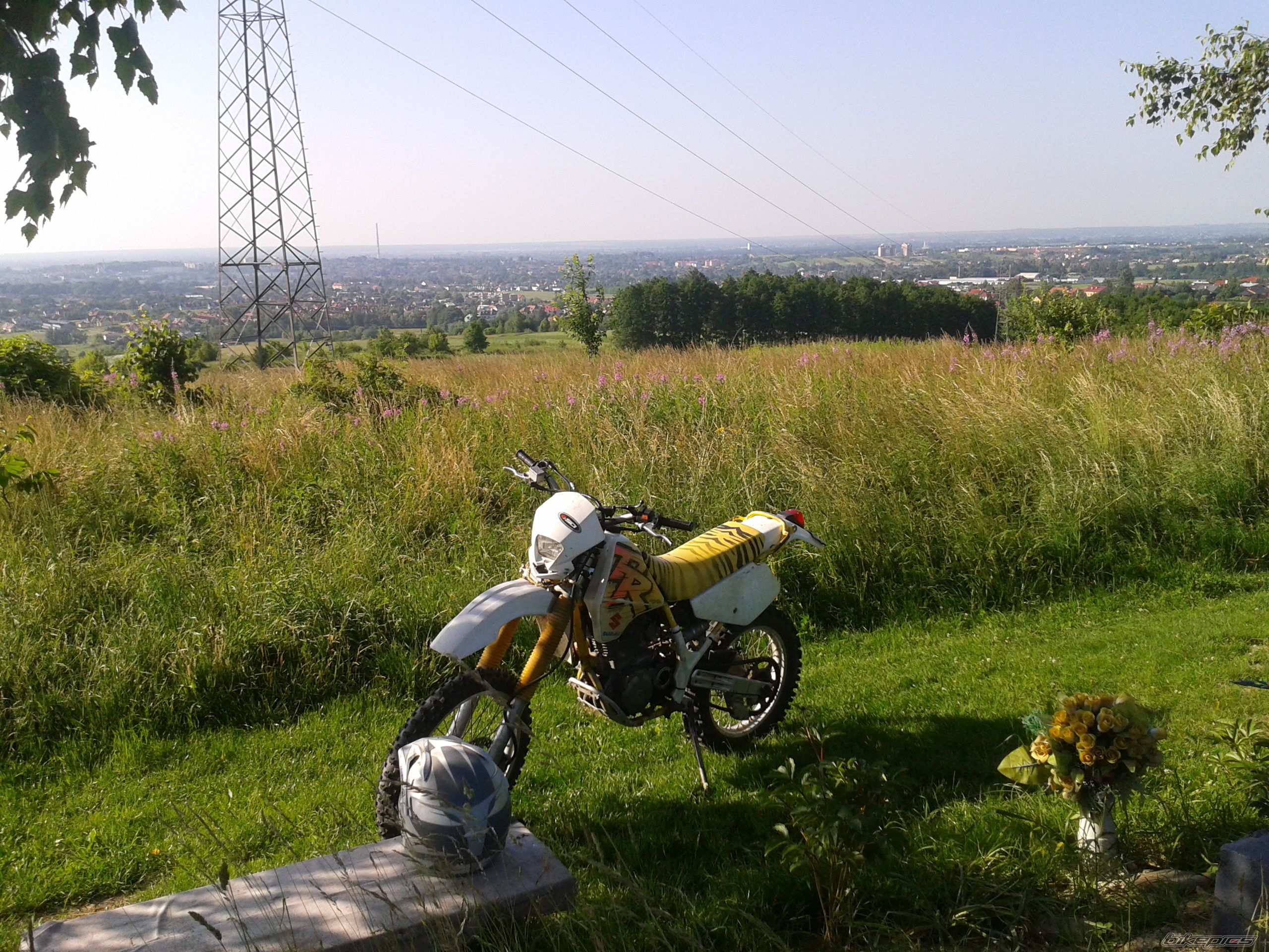Photo 2568398