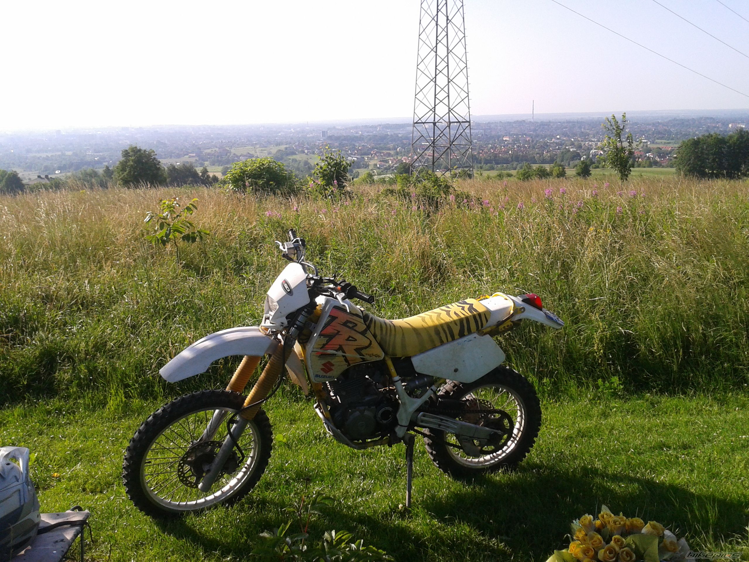 Photo 2568399