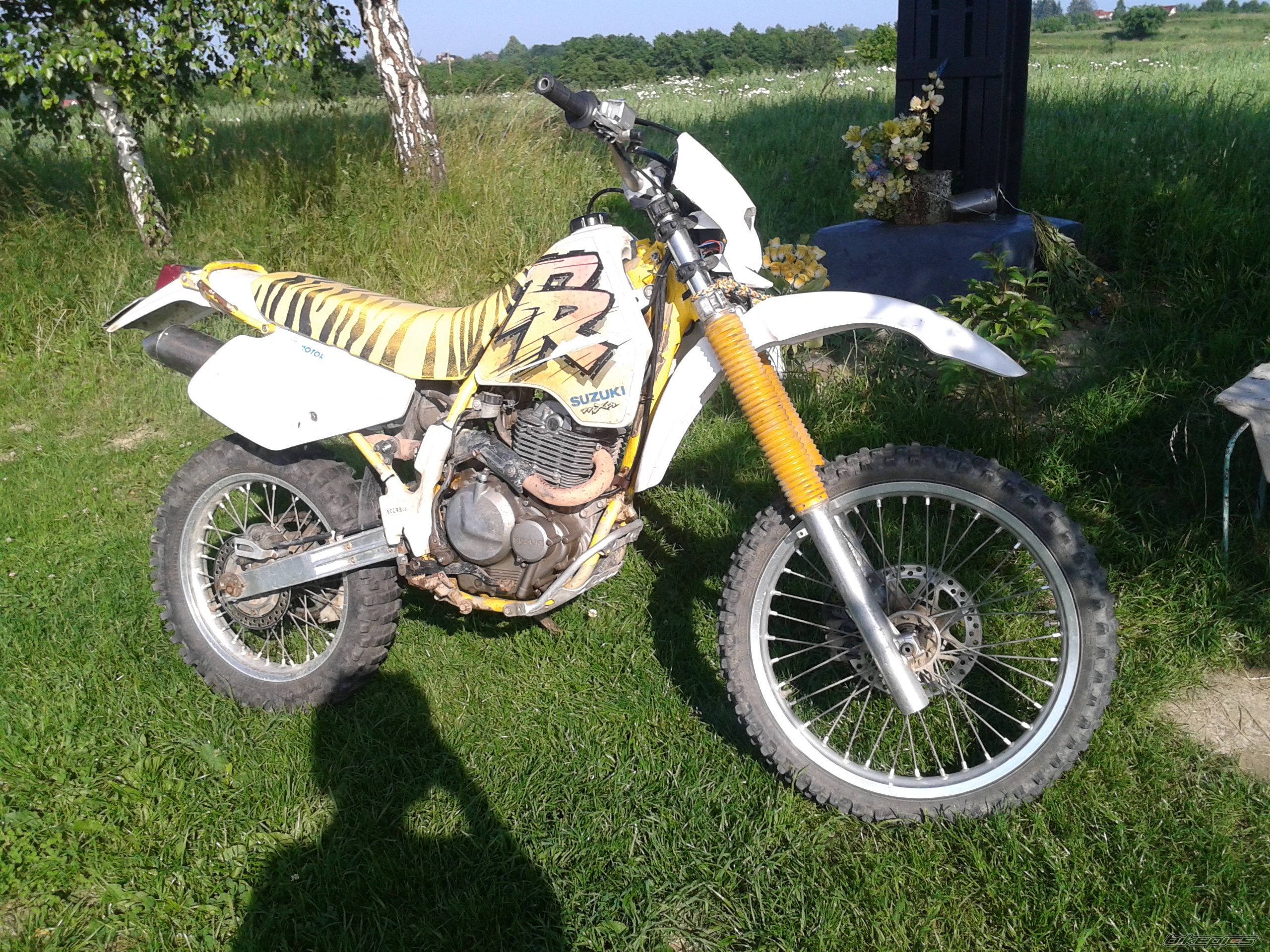 Photo 2568401