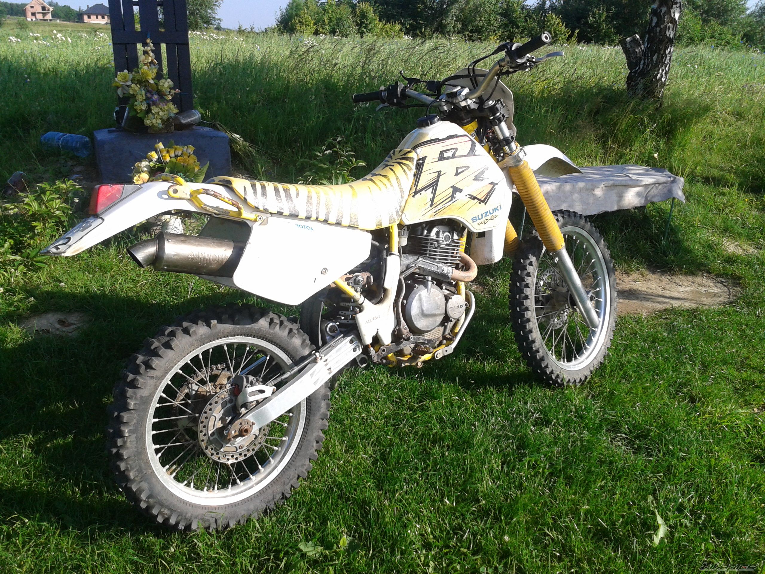 Photo 2568403