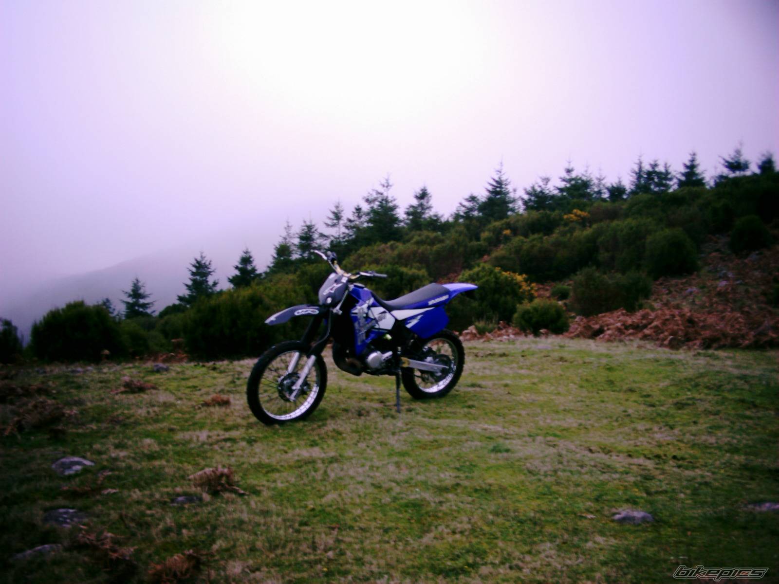 Photo 256841