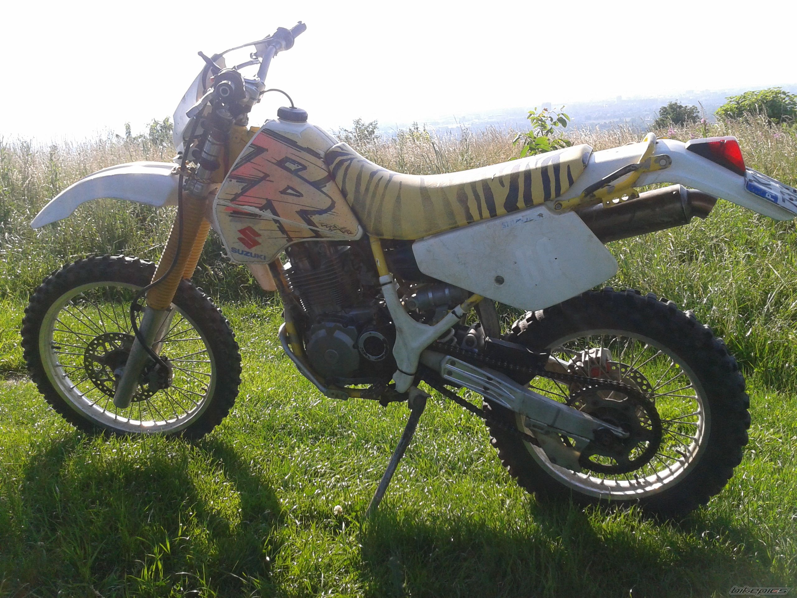 Photo 2568411