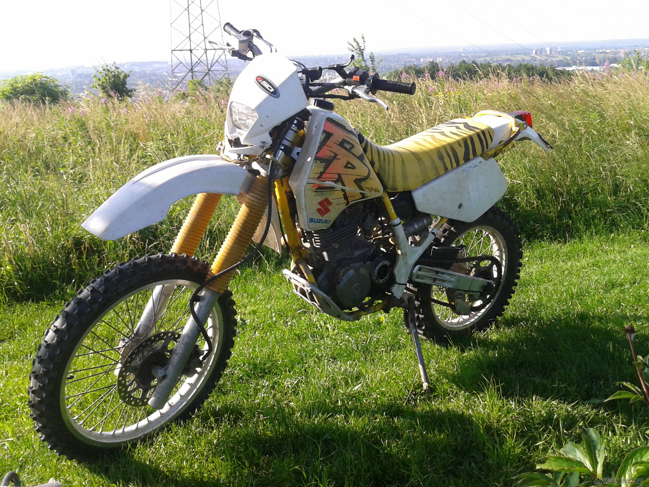 Photo 2568413