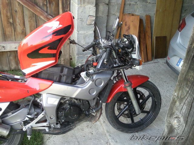 Photo 2568429