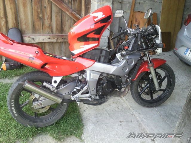 Photo 2568430