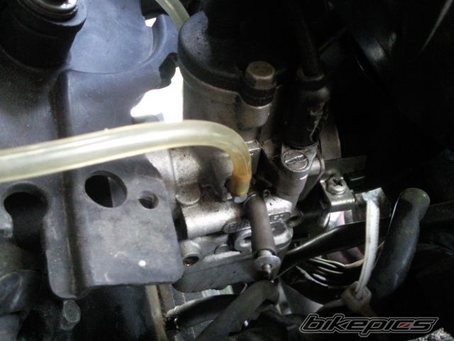 Photo 2568431