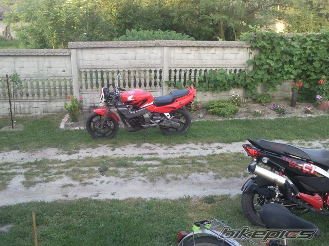 Photo 2568434