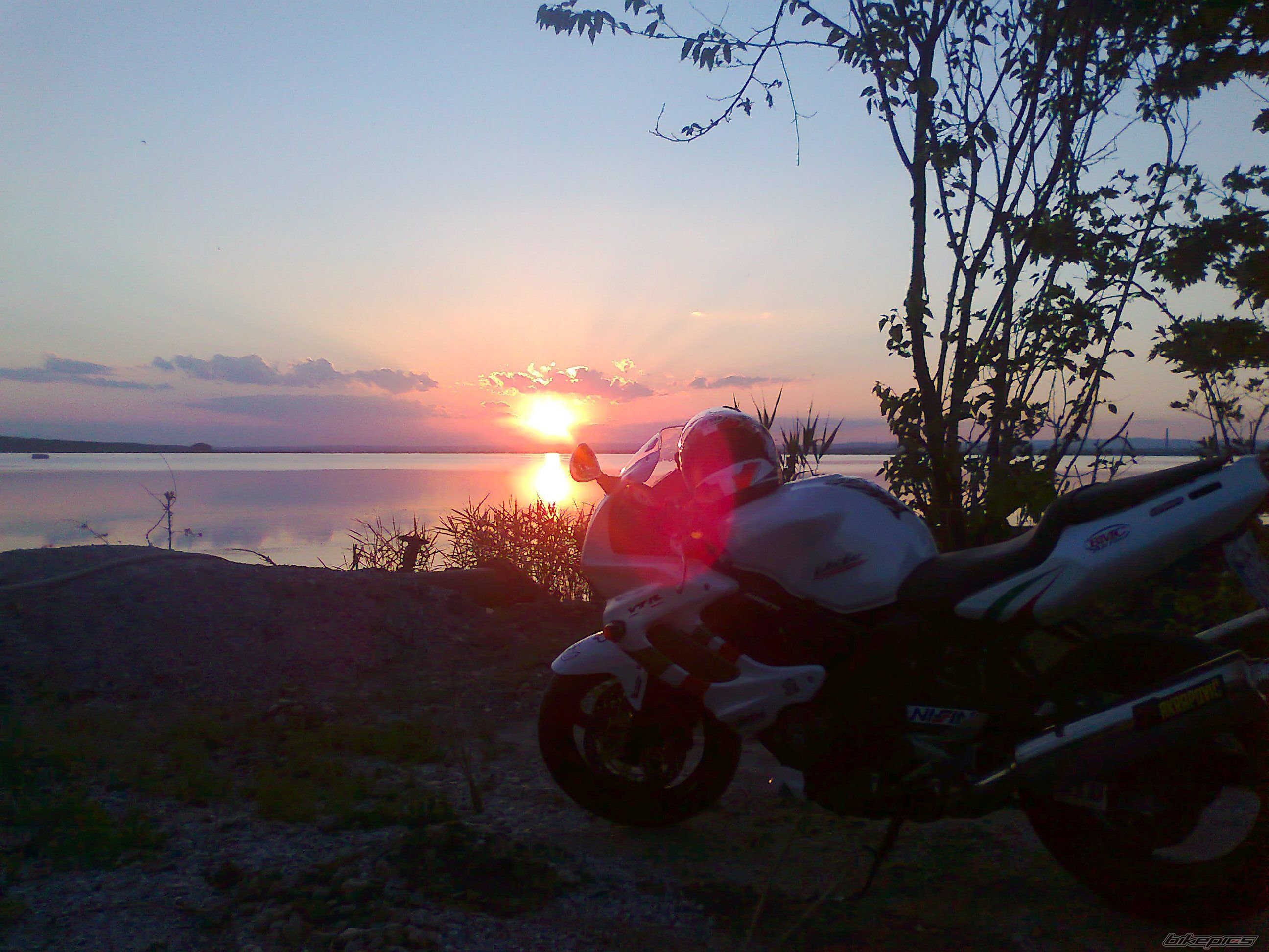 Photo 2568448