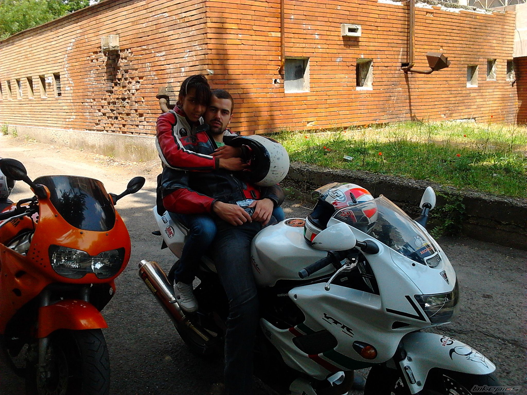 Photo 2568449