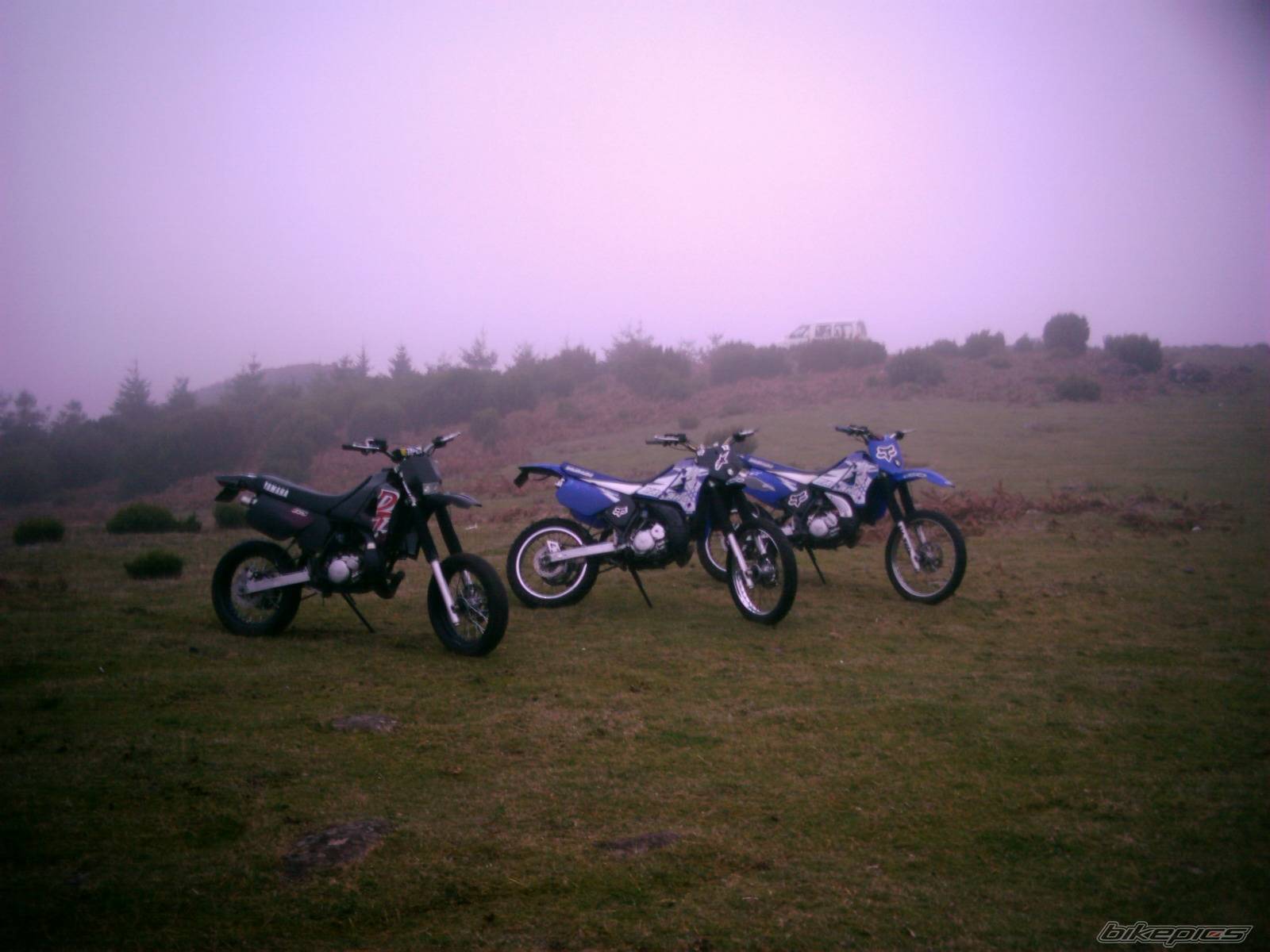 Photo 256845