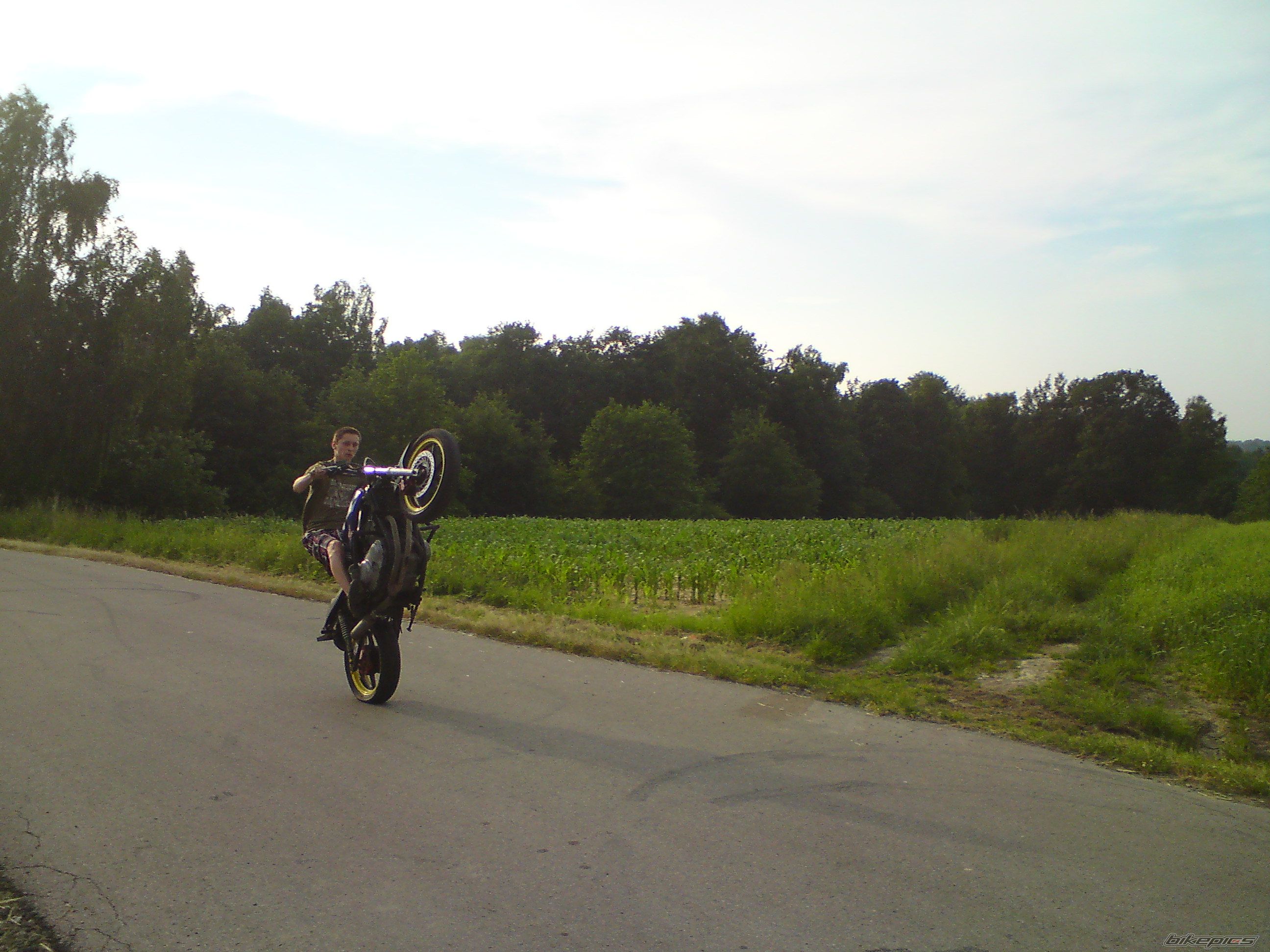 Photo 2568453