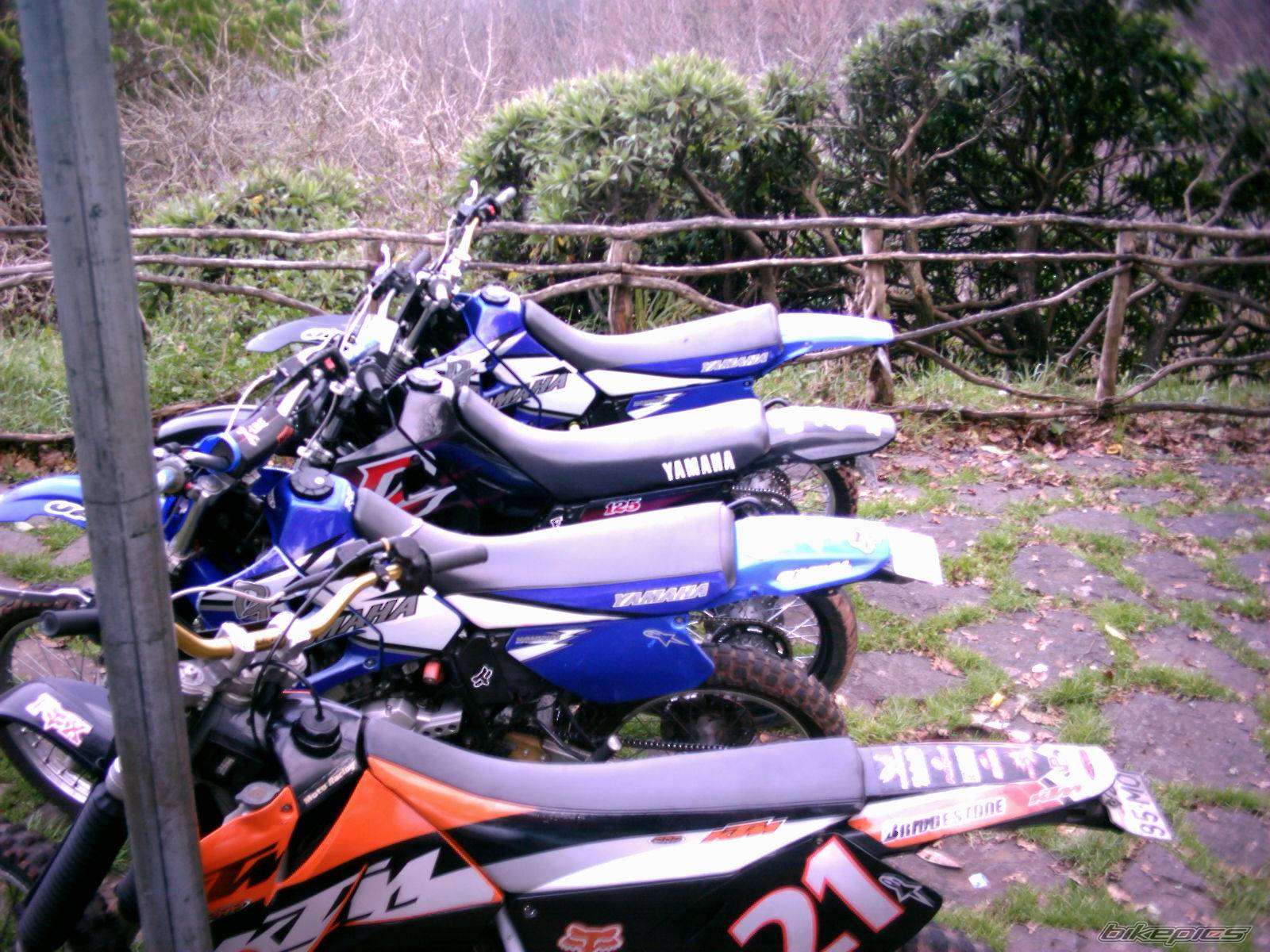 Photo 256846