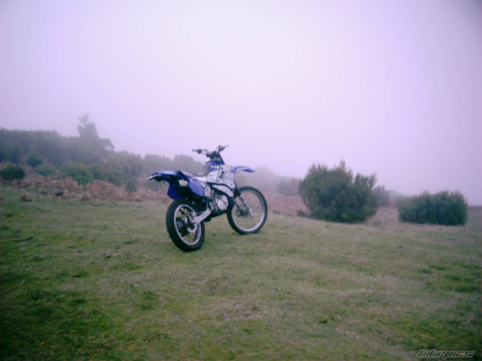 Photo 256847