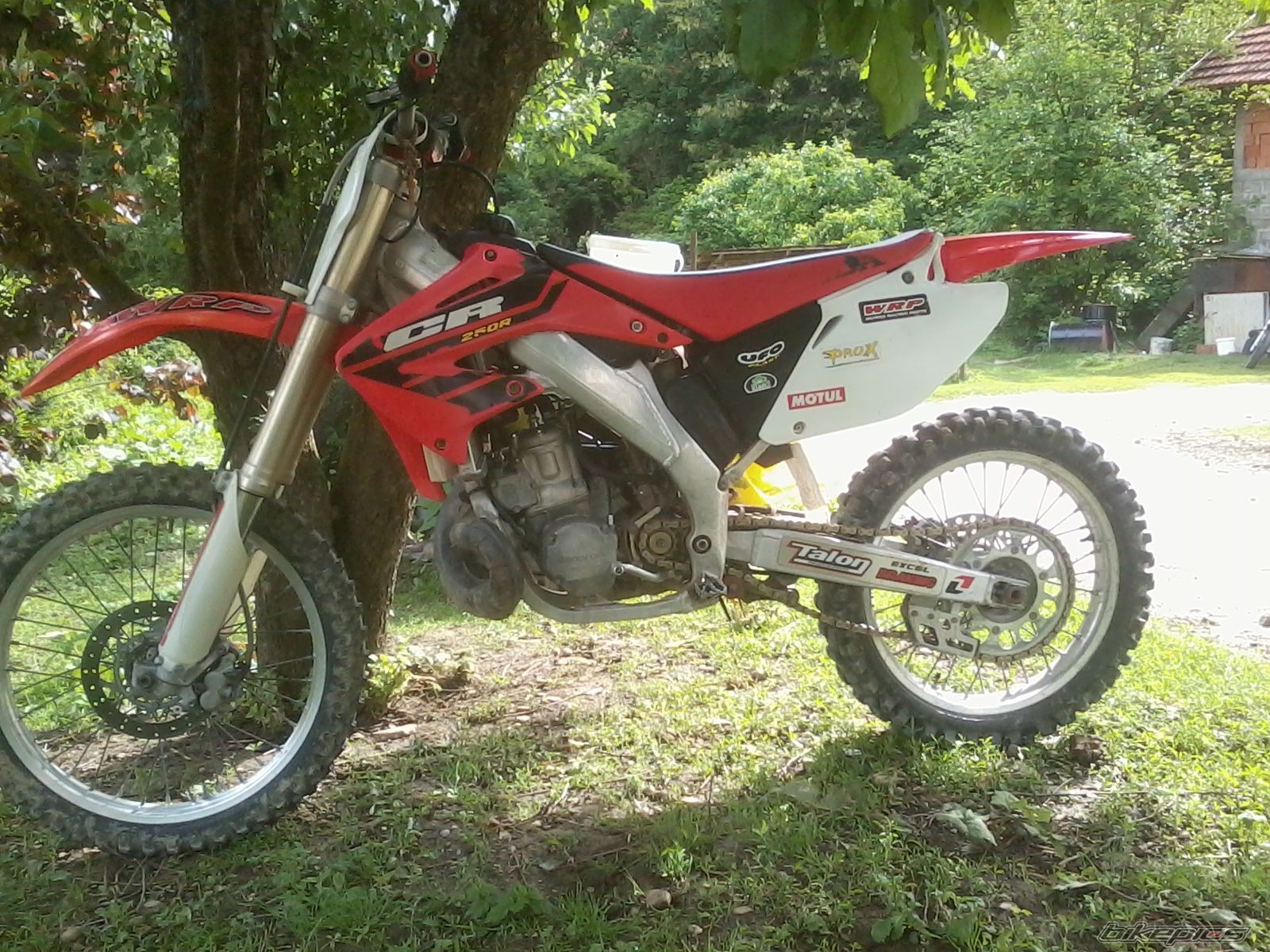 Photo 2568491