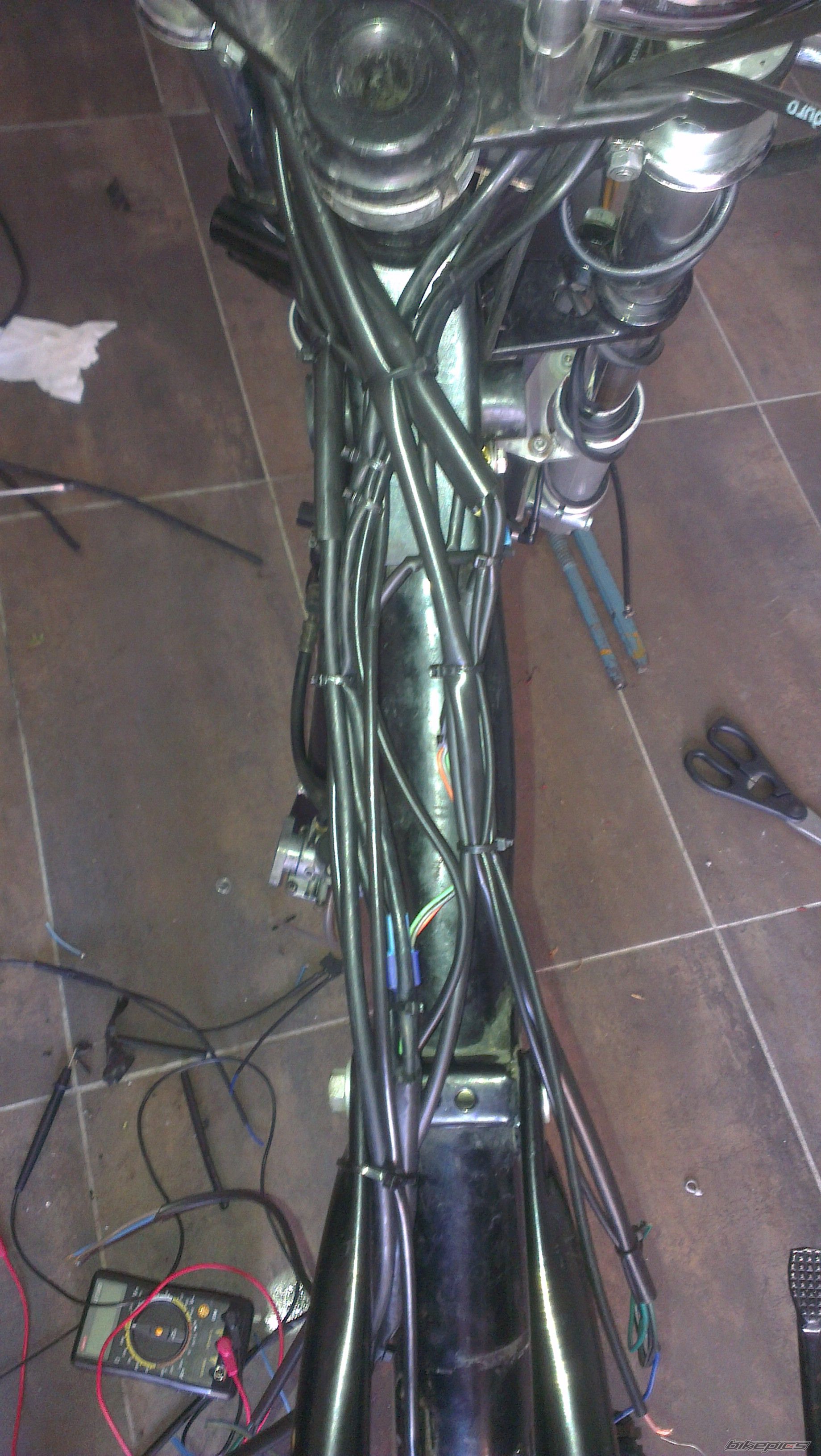 Photo 2568492