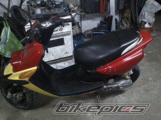 Photo 2568506