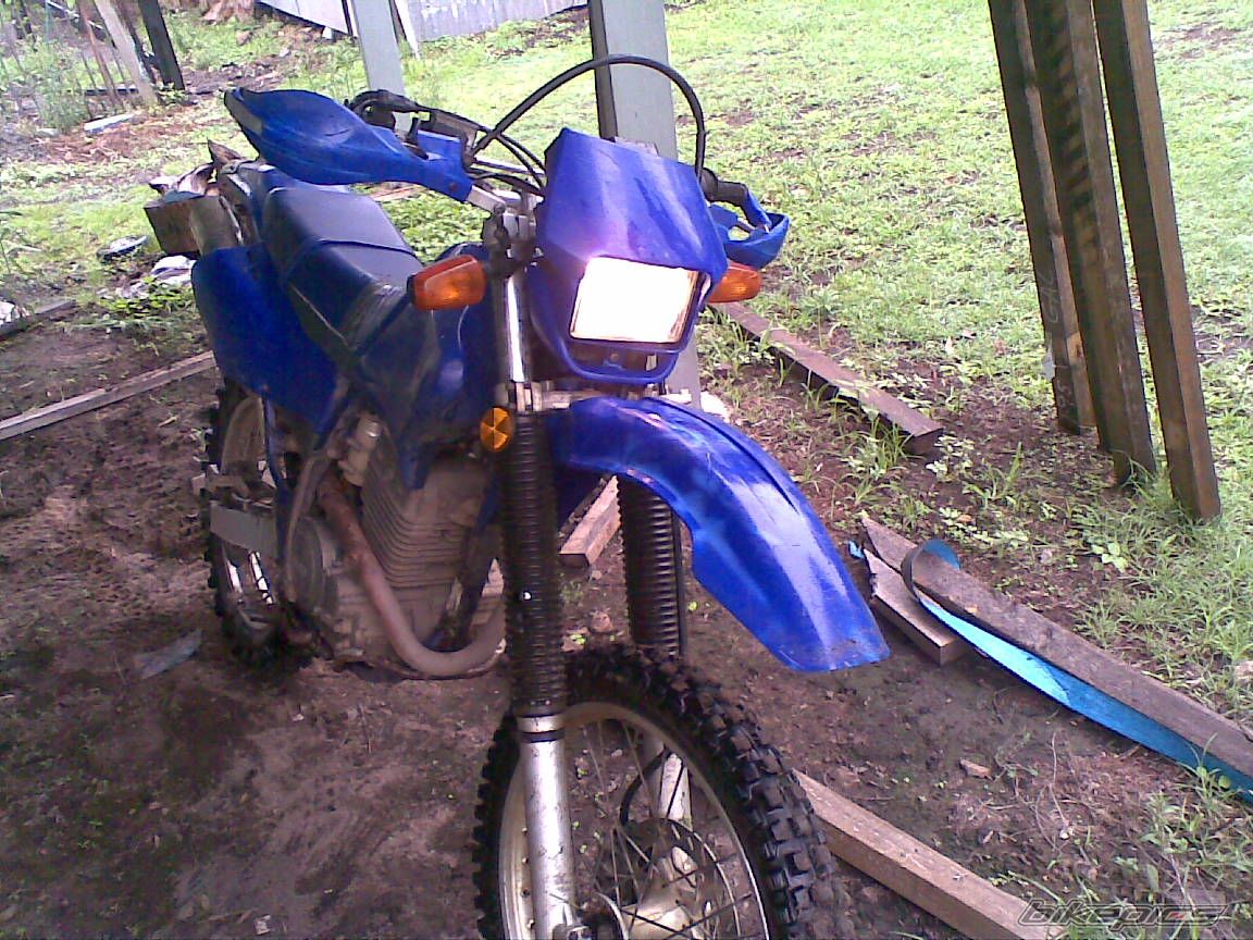 Photo 2568556