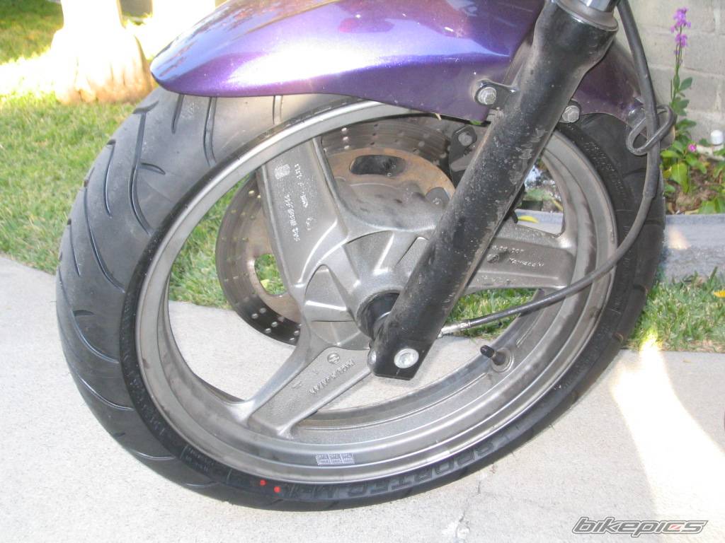 Photo 256864