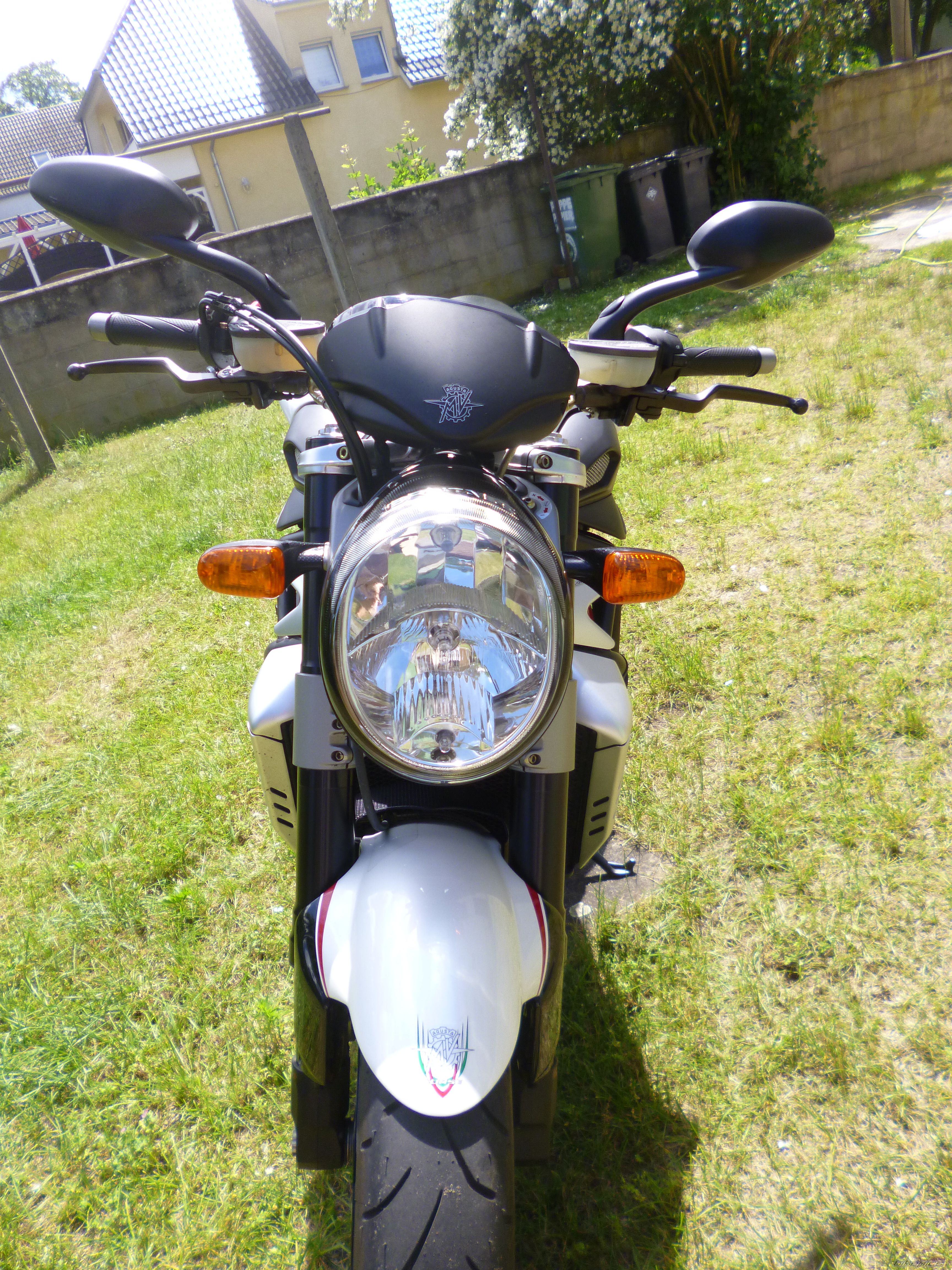 Photo 2568657