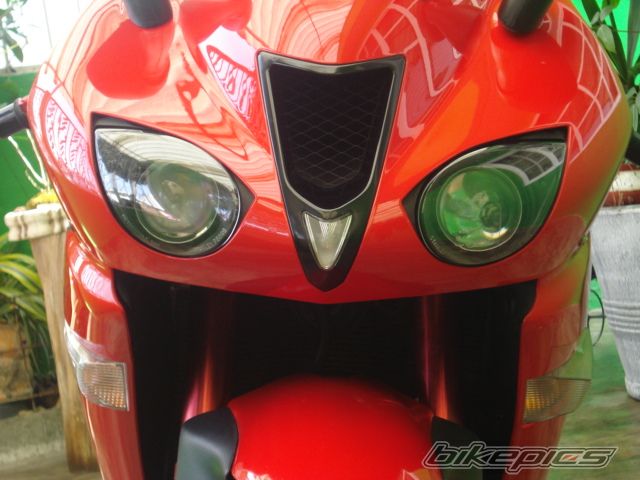 Photo 2568666