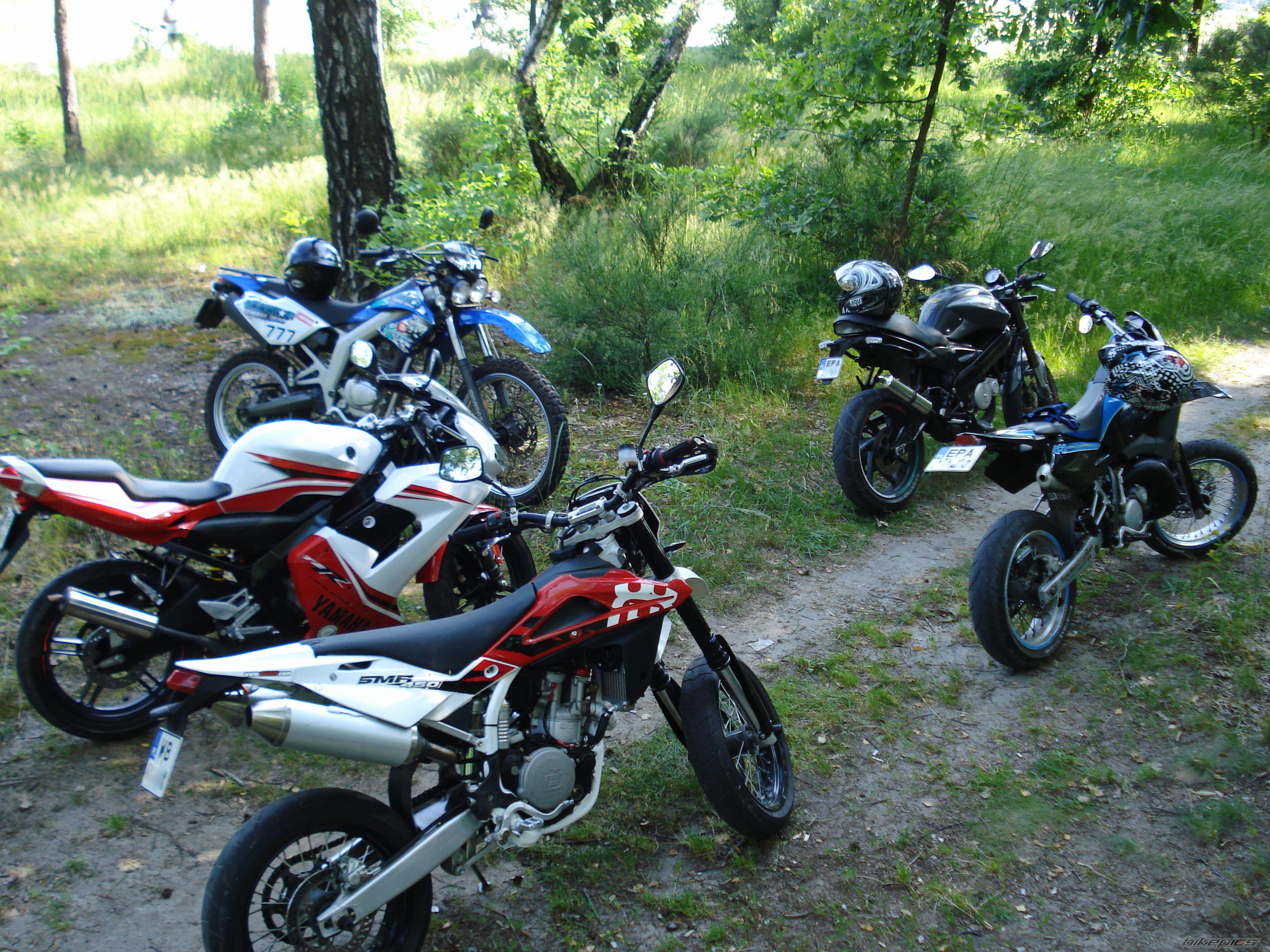 Photo 2568732