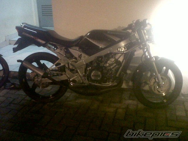 Photo 2568875