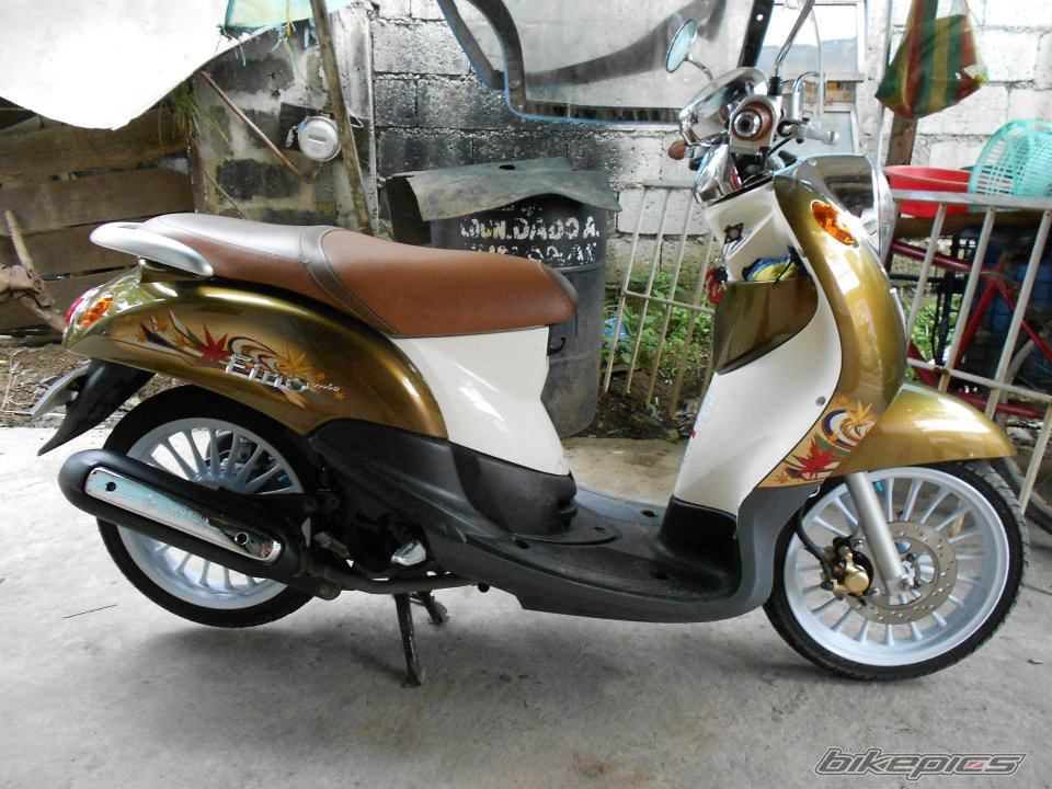 Photo 2568887