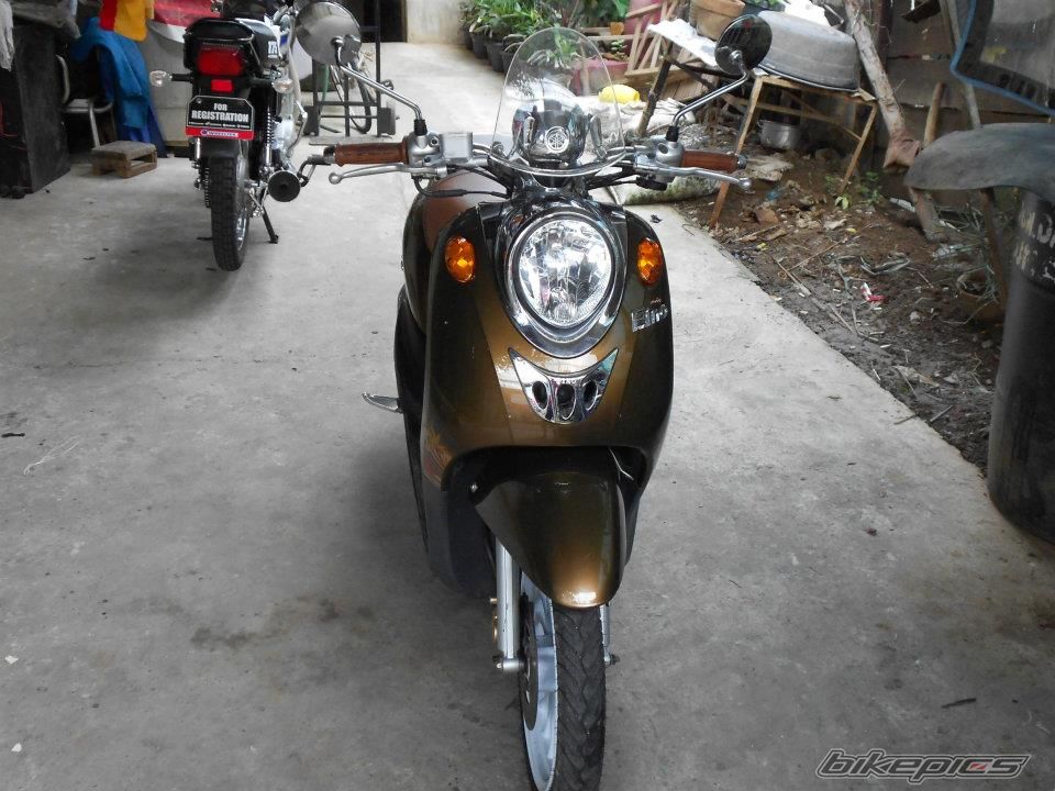 Photo 2568888