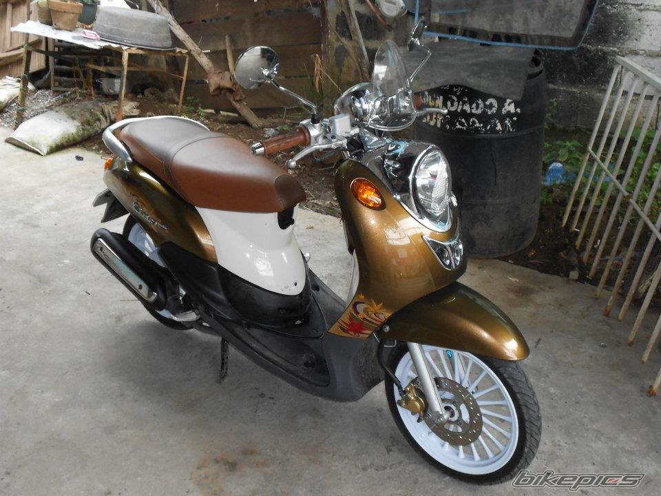 Photo 2568889